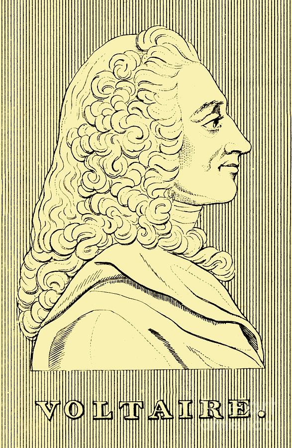 Voltaire profile